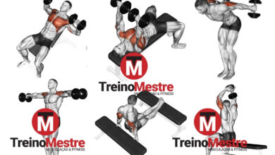 treino de peito triceps e ombro com halteres em casa