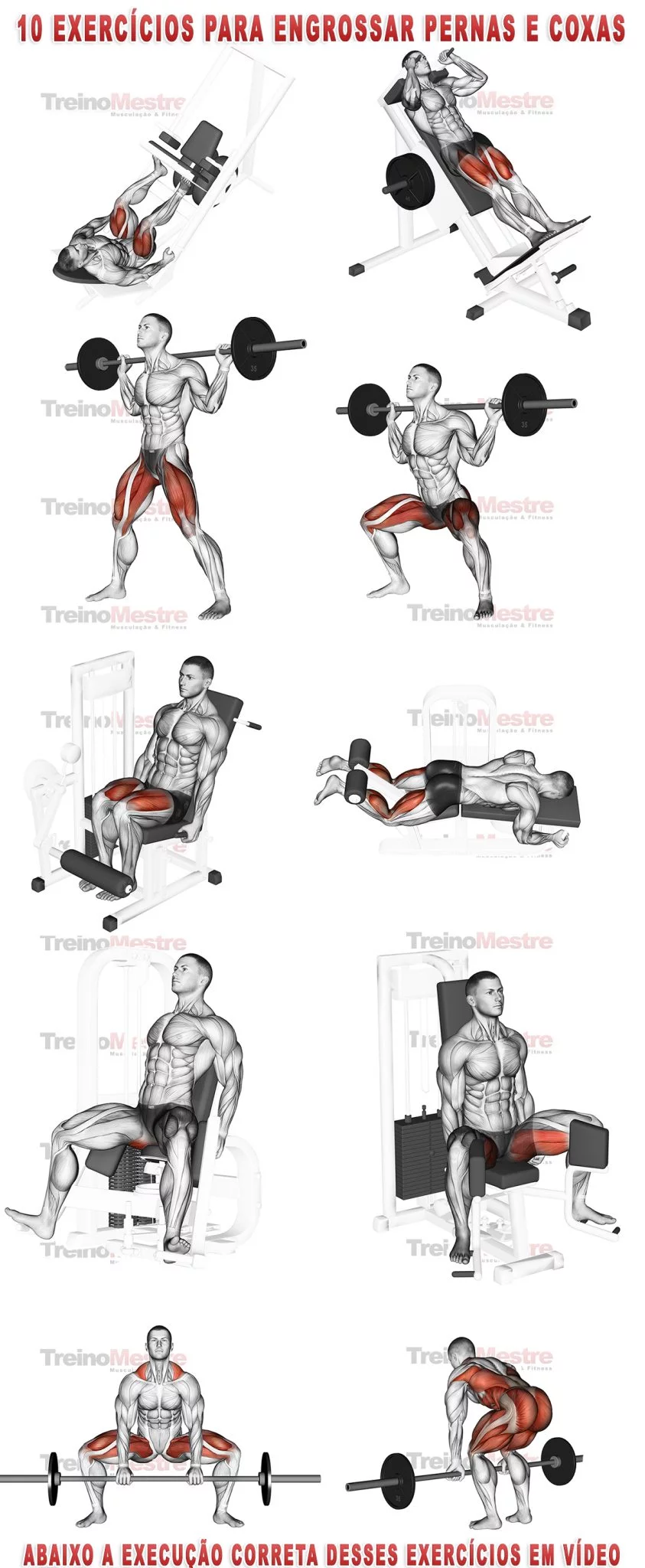 Treino de Pernas - Exercícios para pernas