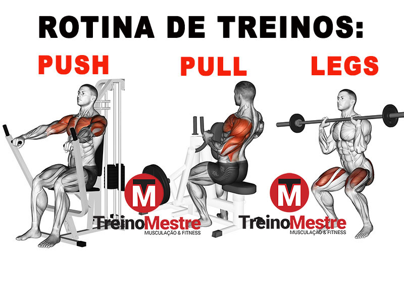 push pull legs puxar empurrar pernas treino